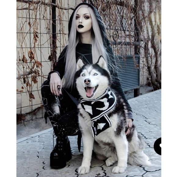 Rogue + Wolf ✦ “Moon Pupper” Knit Pet Scarf ✦ Black Vegan Yarn Celestial Print - Picture 5 of 16